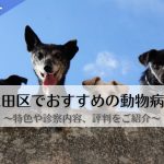 大田区　動物病院