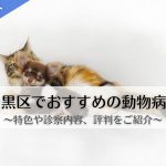 目黒区　動物病院