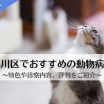 品川区　動物病院