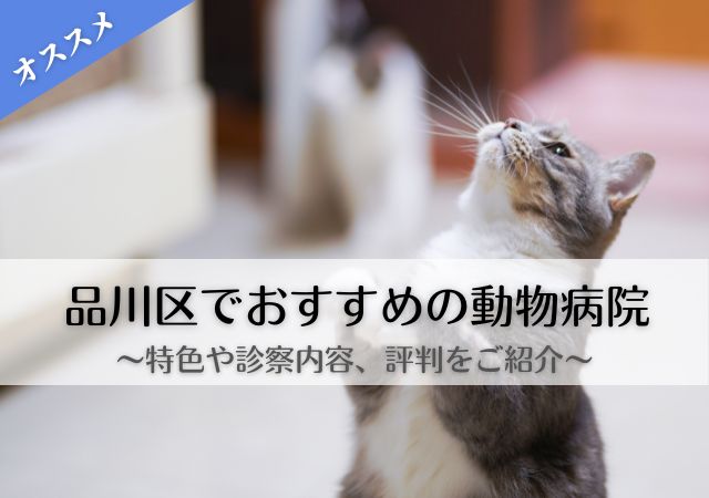 品川区　動物病院