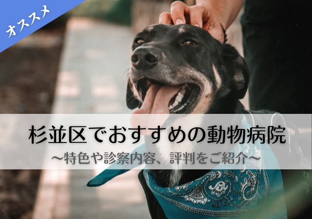 杉並区　動物病院