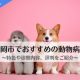 福岡市で評判が良いおすすめの動物病院7選｜特色や診察内容、実際に利用した人の口コミをご紹介！