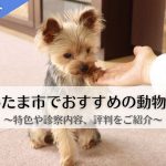 さいたま市　動物病院