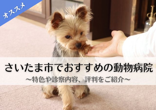 さいたま市　動物病院