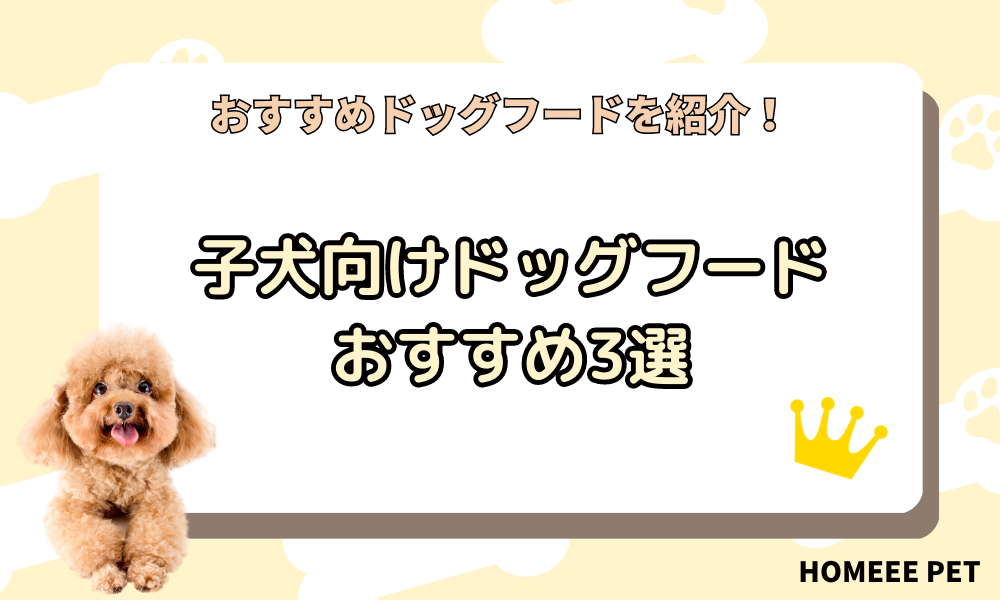 子犬向けドッグフードおすすめ3選
