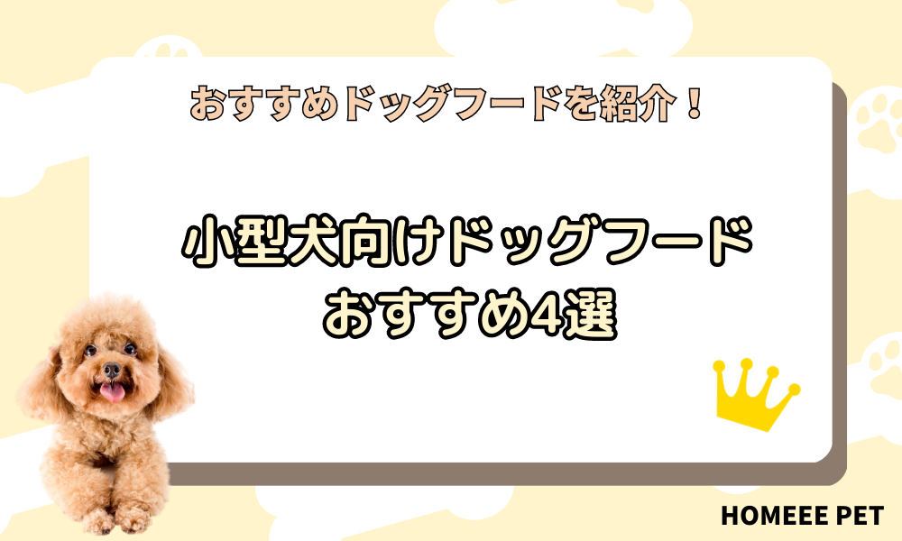 小型犬向けおすすめのドッグフード4選