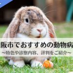 大阪市　動物病院