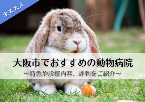 大阪市　動物病院