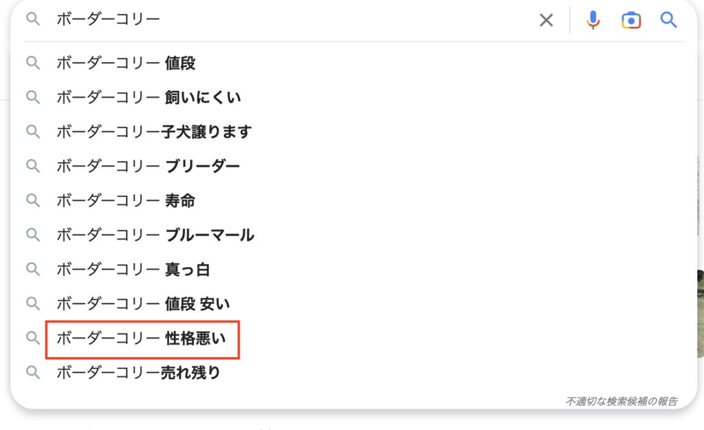 ボーダーコリー　性格悪い　サジェスト