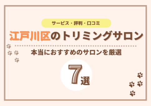 江戸川区でおすすめのトリミングサロン7選