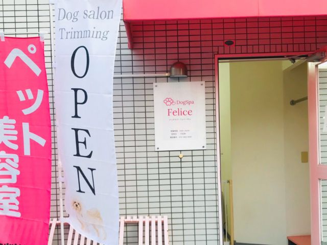 DogSpa Felice