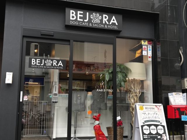 BEJORA - DOG CAFE & SALON & HOTEL 