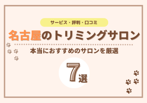 名古屋でおすすめのトリミングサロン7選