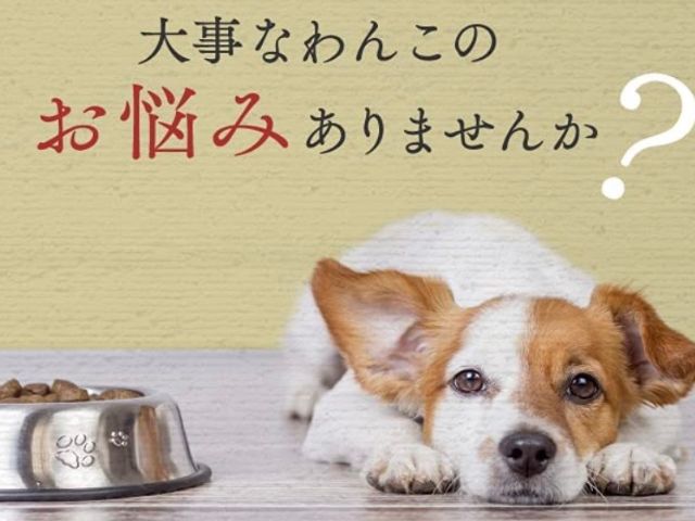 自然派わんこの厳選ごはんはこんな飼い主さんやワンちゃんにおすすめ