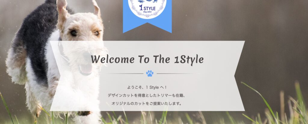 1Style（ワンスタイル）