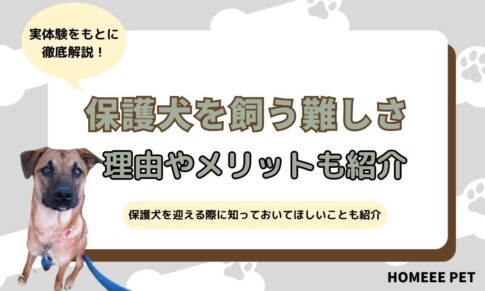 保護犬を飼う難しさ