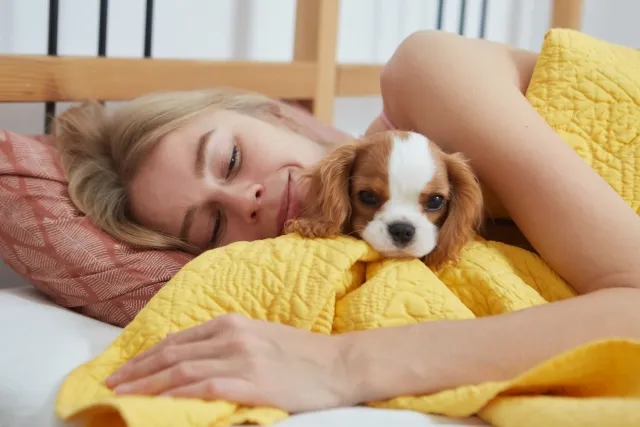 飼い主が得られる愛犬が足元で寝るメリット