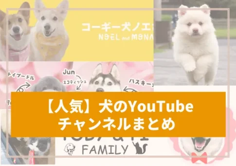 犬のYouTubeチャンネル