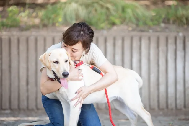 1万円で買える犬に対する人々の声