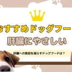 犬肝臓ドッグフードおすすめ