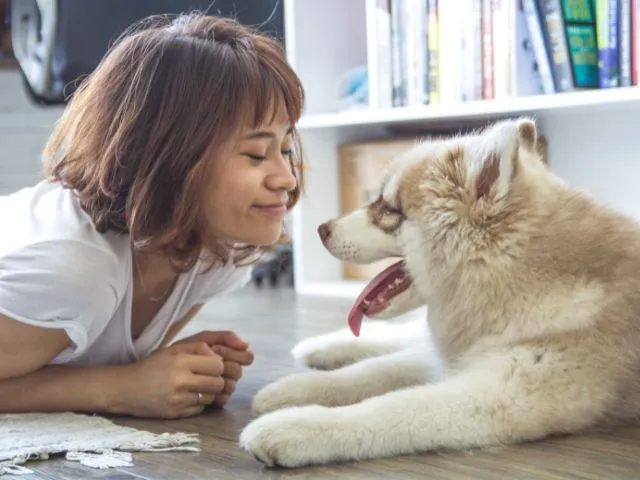 相手の顔や口の周りを舐める