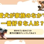 愛犬が家族のなかで一番好きな人