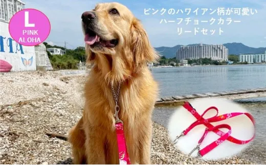 【大型犬用・Lサイズ】 ハーフチョークカラーとリードのセット