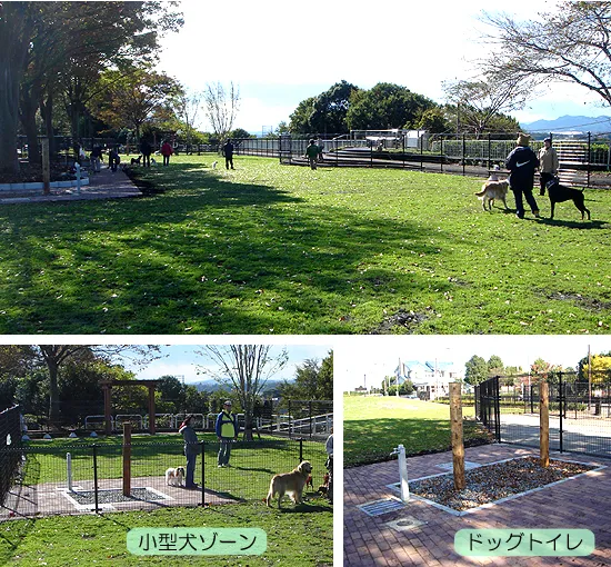 神奈川県立相模原公園