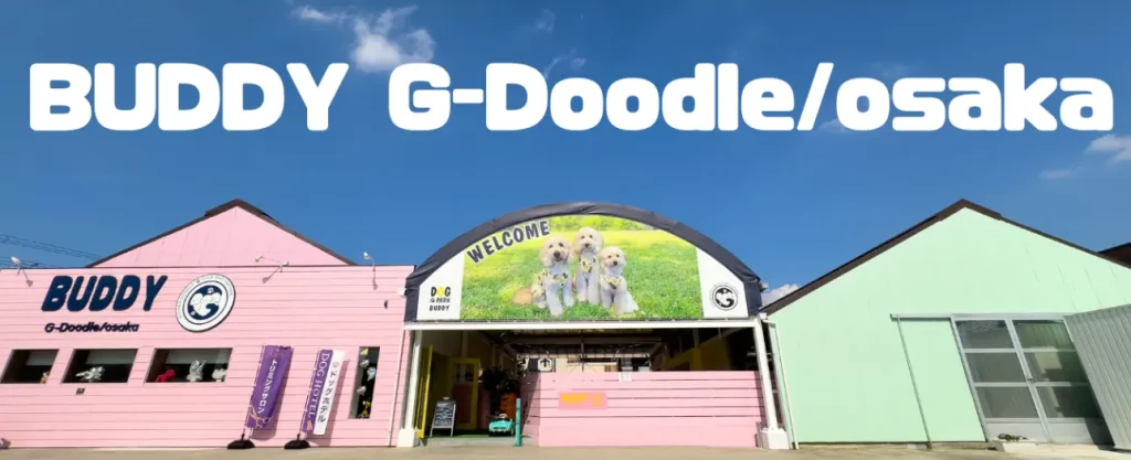 BUDDY G-Doodle/osaka