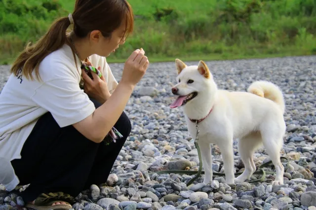 このこのじゅれは健康志向の飼い主におすすめ