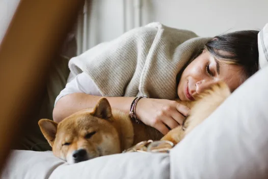 犬がくっついて寝る場所でわかる「犬の気持ち」