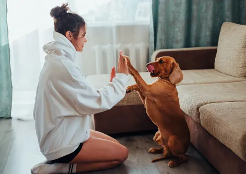 犬とくっついて寝るときに気を付けること