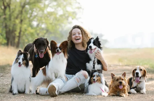 犬がくっついて寝るときの気持ちを知ることが大切