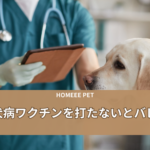 狂犬病ワクチンを打たないとバレる？