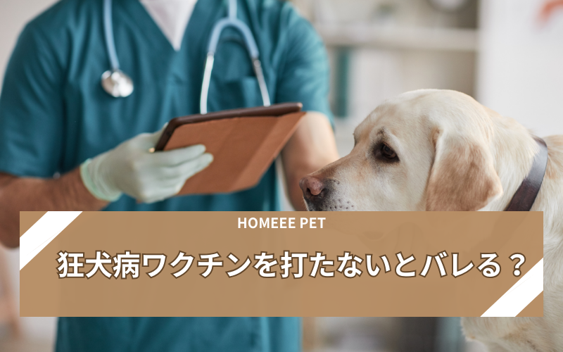 狂犬病ワクチンを打たないとバレる？