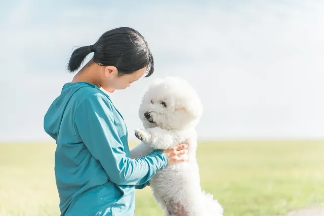 それぞれの愛犬に合った消化がいいドッグフードを見つけよう！