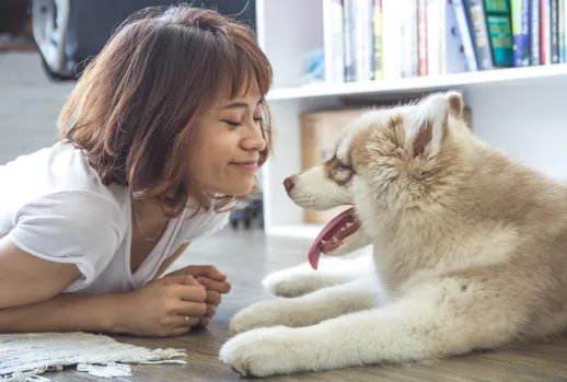 犬に好かれるための方法