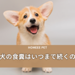 犬　食糞　いつまで