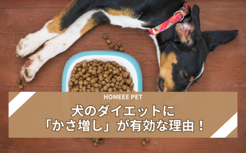 犬 ダイエット かさ増し