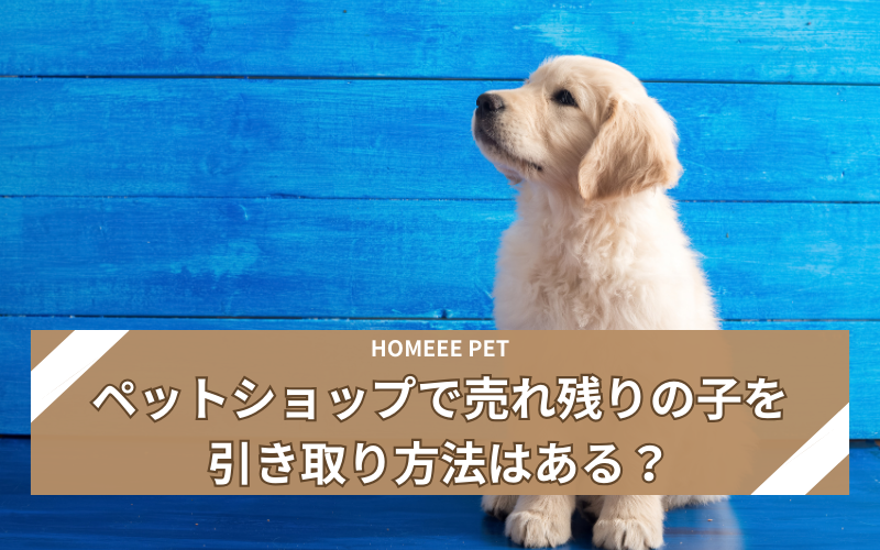 ペットショップの売れ残りを引き取りたい！方法や注意点をくわしく解説！ – Homeee Pet