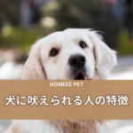 犬に吠えられる人