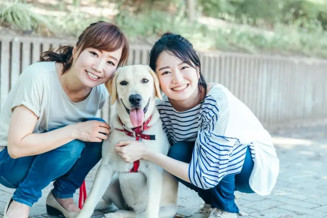 【まとめ】ワンちゃんのシャンプー頻度は愛犬に合わせて決めよう