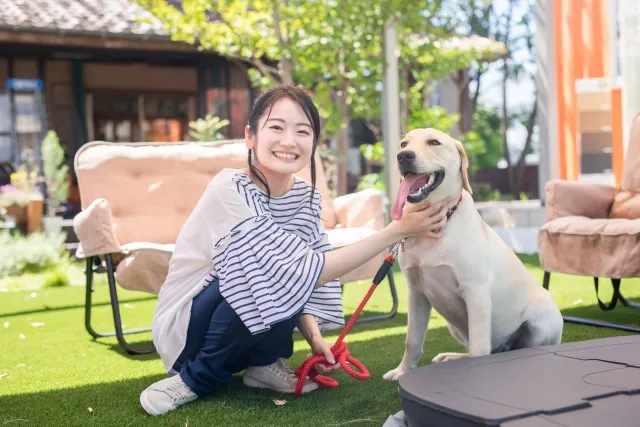 そもそも犬カフェとは?