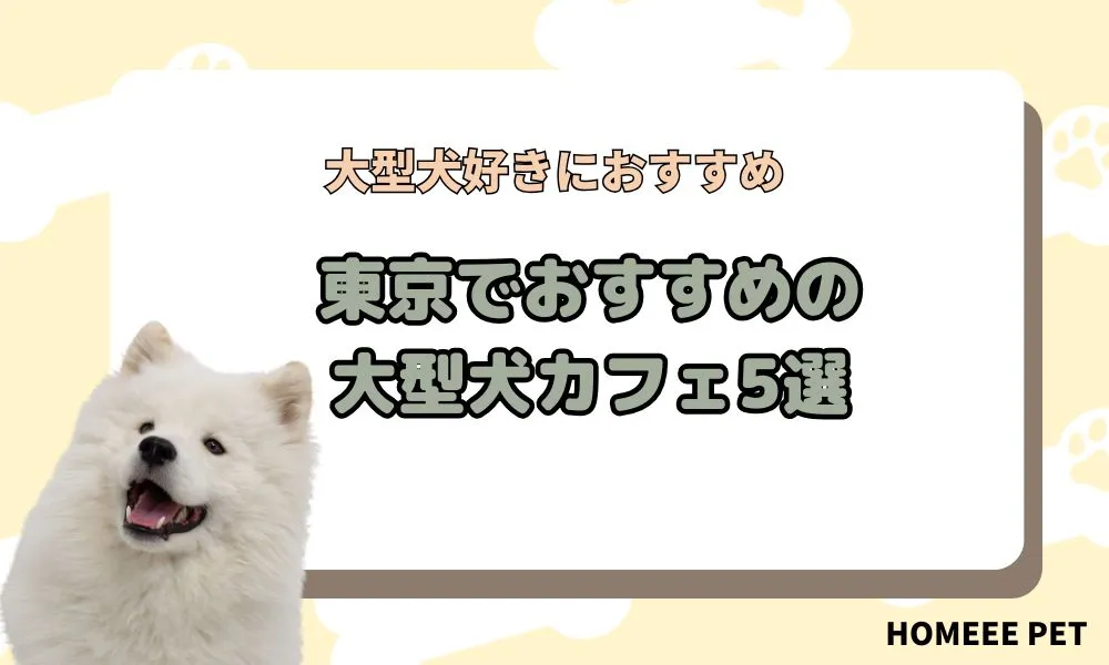 東京でおすすめの大型犬カフェ5選