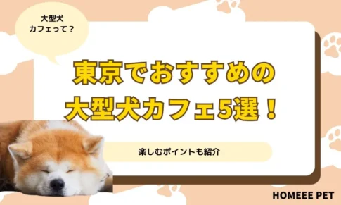 東京でおすすめの大型犬カフェ5選！