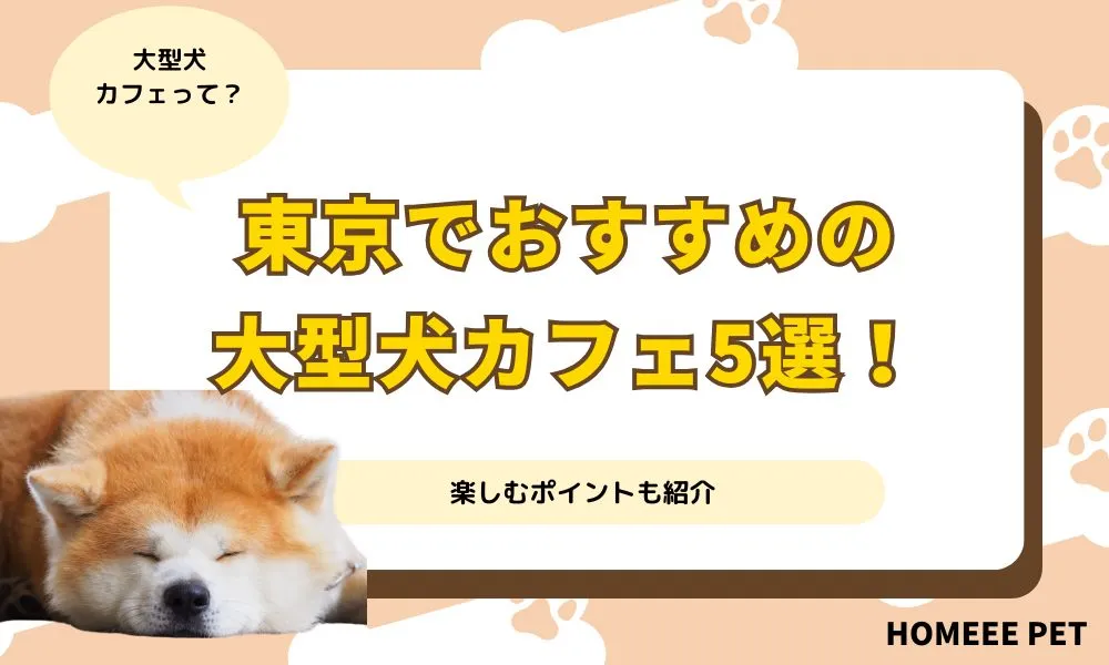 東京でおすすめの大型犬カフェ5選！