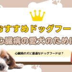 心臓が悪いワンちゃんにおすすめのドッグフード6選！