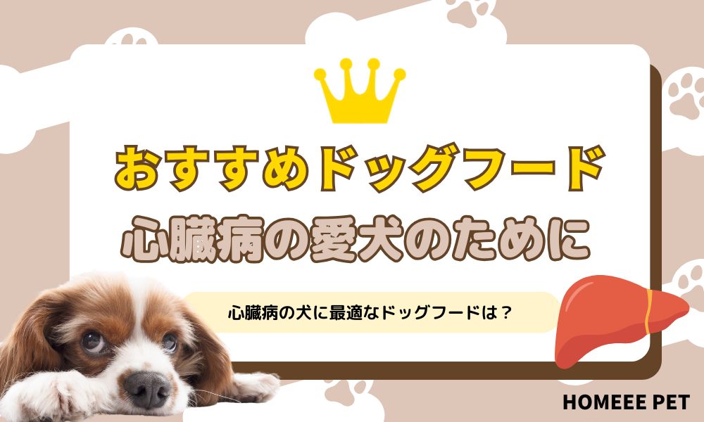 心臓が悪いワンちゃんにおすすめのドッグフード6選！