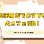 横浜市周辺でおすすめの犬カフェ6選！