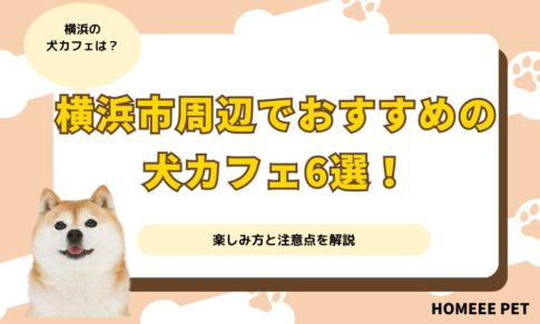 横浜市周辺でおすすめの犬カフェ6選！